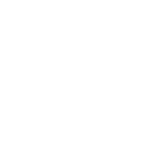 dardtails_logo_no_background